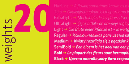 Alamia Font Poster 7