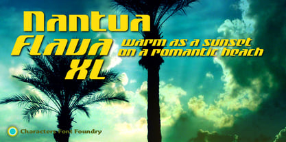Nantua Flava Font Poster 1