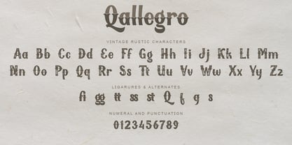 Qallegro Font Poster 13