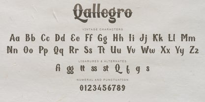 Qallegro Police Poster 11