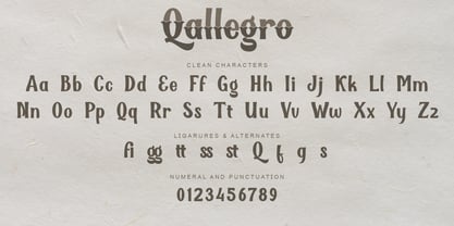 Qallegro Police Poster 8