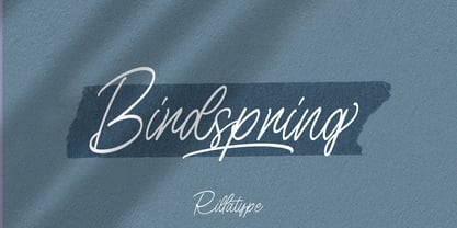Birdspring Signature Font Poster 1