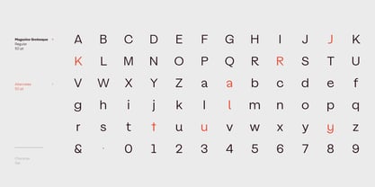 Magazine Grotesque Font Poster 15