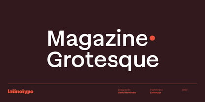 Magazine Grotesque Font Poster 1