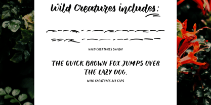 Wild Creatures Font Poster 8