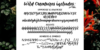 Wild Creatures Font Poster 6