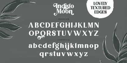 Indigo Moon Font Poster 14