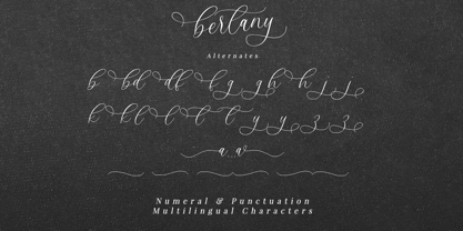 Bertany Font Poster 6