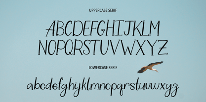 White Stork Font Poster 3