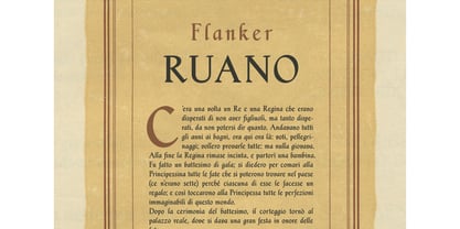 Flanker Ruano Fuente Póster 6