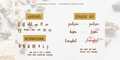 Cinnamon Cookie Font Poster 3