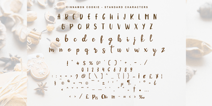 Cinnamon Cookie Font Poster 2