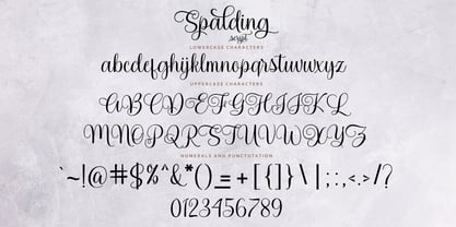 Spalding Script Font Poster 5