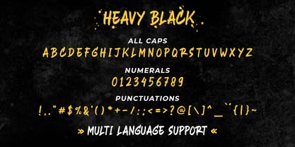 Heavy Black Fuente Póster 5