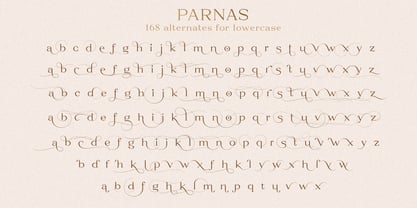 Parnas Font Poster 15