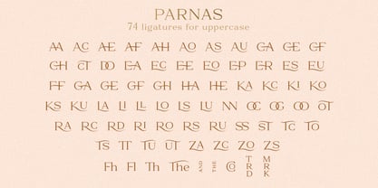 Parnas Font Poster 12