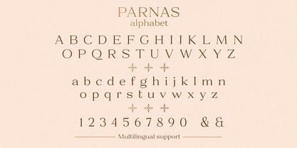 Parnas Font Poster 11