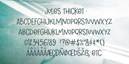 Jules Thicket Font Poster 5