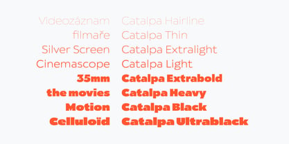 Catalpa Font Poster 8