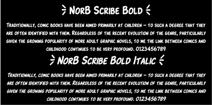 NorB Scribe Font Poster 6