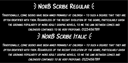 NorB Scribe Font Poster 4