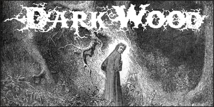 Dark Wood Font Poster 1