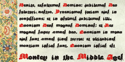Monkey In The Middle Ages Font Poster 1