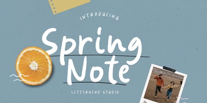 Spring Note Font Poster 1
