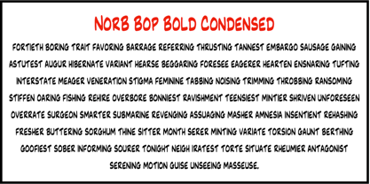 NorB Bop Police Affiche 7