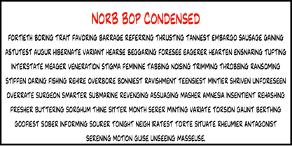 NorB Bop Police Affiche 3