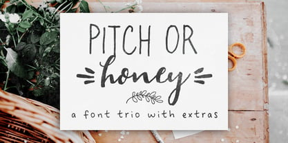 Pitch Or Honey Font Poster 1