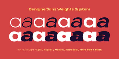 VVDS Benigne Sans Font Poster 3