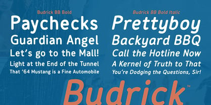 Budrick BB Font Poster 5