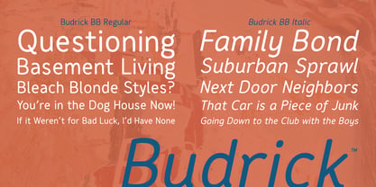 Budrick BB Font Poster 4