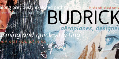 Budrick BB Font Poster 2