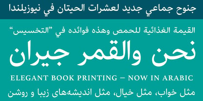 Athelas Arabic Font Poster 2