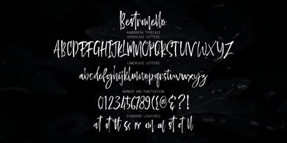 Bestromello Script Font Poster 8