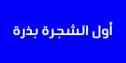 Klapt Arabic Font Poster 3