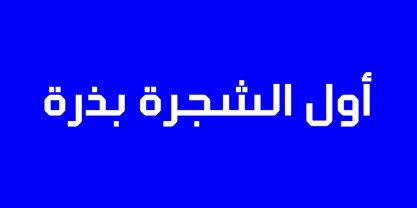 Klapt Arabic Police Poster 3