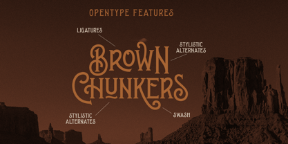 Brown Chunkers Font Poster 8