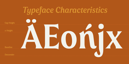 Valeson Font Poster 6