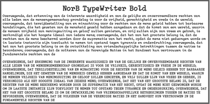 NorB TypeWriter Font Poster 5