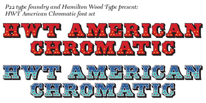 HWT American Chromatic Police Poster 5