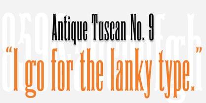 HWT Antique Tuscan 9 Police Poster 3