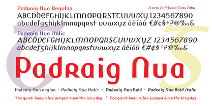 Padraig Nua Font Poster 8