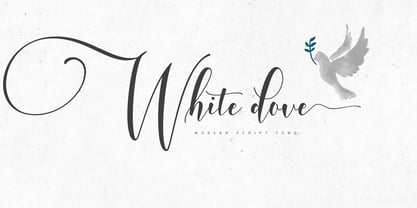 White Dove Script Fuente Póster 1