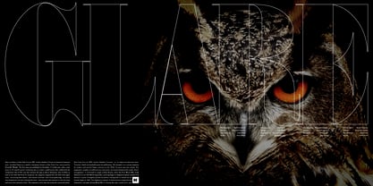 Fau Fau Font Poster 2