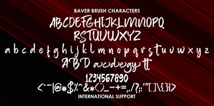 Baver Brush Font Poster 5