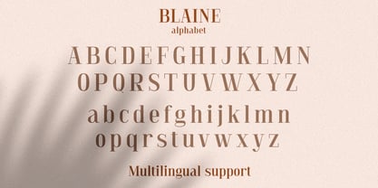 Blaine Font Poster 10