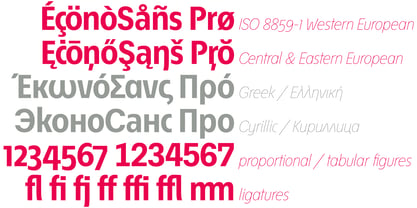 ÉconoSans Pro Font Poster 11